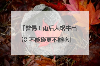 警惕！雨后大蜗牛出没 不能碰更不能吃
