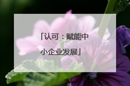认可：赋能中小企业发展
