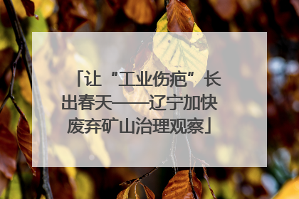 让“工业伤疤”长出春天——辽宁加快废弃矿山治理观察