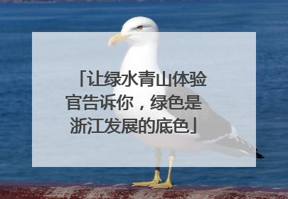 让绿水青山体验官告诉你，绿色是浙江发展的底色