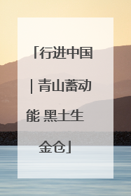 行进中国｜青山蓄动能 黑土生金仓