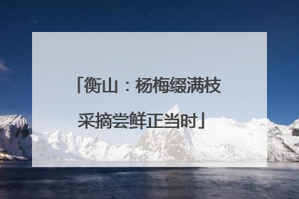 衡山：杨梅缀满枝 采摘尝鲜正当时