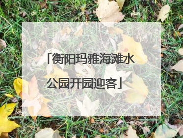 衡阳玛雅海滩水公园开园迎客