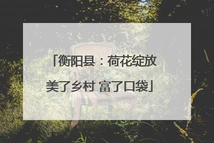 衡阳县：荷花绽放 美了乡村 富了口袋