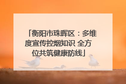 衡阳市珠晖区：多维度宣传控烟知识 全方位共筑健康防线