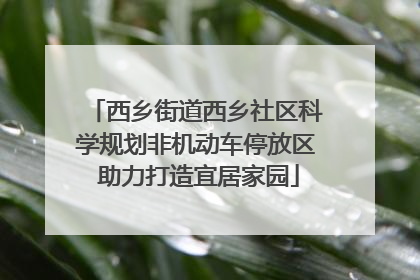 西乡街道西乡社区科学规划非机动车停放区 助力打造宜居家园