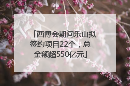 西博会期间乐山拟签约项目22个，总金额超550亿元