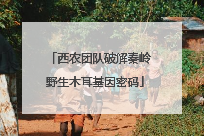 西农团队破解秦岭野生木耳基因密码