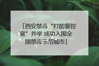 西安禁毒“打防管控宣”并举 成功入围全国禁毒示范城市