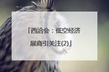 西洽会：低空经济展商引关注(2)