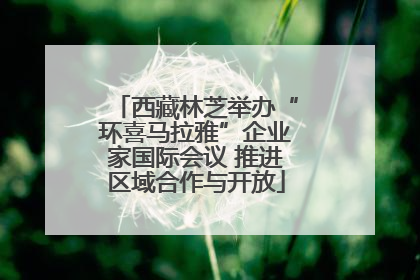 西藏林芝举办“环喜马拉雅”企业家国际会议 推进区域合作与开放