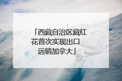 西藏自治区藏红花首次实现出口 远销加拿大