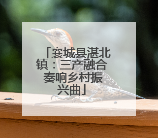襄城县湛北镇：三产融合 奏响乡村振兴曲