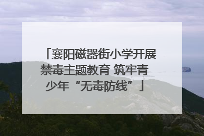 襄阳磁器街小学开展禁毒主题教育 筑牢青少年“无毒防线”