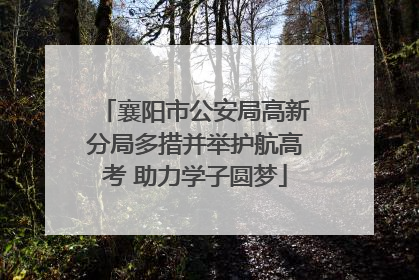 襄阳市公安局高新分局多措并举护航高考 助力学子圆梦