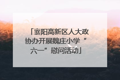 襄阳高新区人大政协办开展魏庄小学“六一”慰问活动