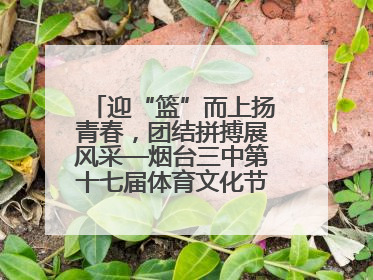 迎“篮”而上扬青春，团结拼搏展风采—烟台三中第十七届体育文化节篮球赛