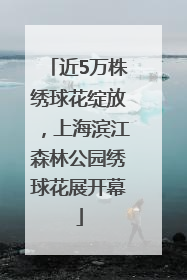近5万株绣球花绽放，上海滨江森林公园绣球花展开幕