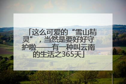 这么可爱的“雪山精灵”，当然是要好好守护啦——有一种叫云南的生活之365天