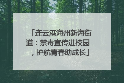连云港海州新海街道：禁毒宣传进校园，护航青春助成长
