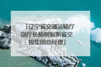 辽宁省交通运输厅副厅长杨树履新省交投集团总经理