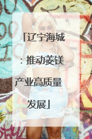 辽宁海城：推动菱镁产业高质量发展