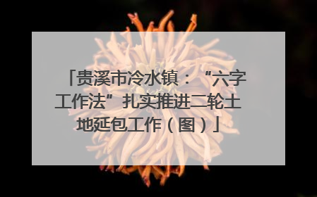 贵溪市冷水镇：“六字工作法”扎实推进二轮土地延包工作（图）