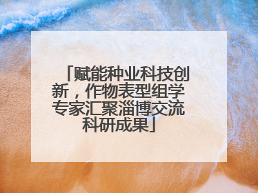 赋能种业科技创新，作物表型组学专家汇聚淄博交流科研成果