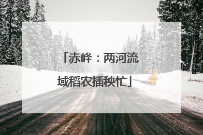 赤峰：两河流域稻农插秧忙