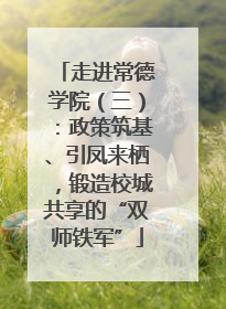 走进常德学院（三）：政策筑基、引凤来栖，锻造校城共享的“双师铁军”