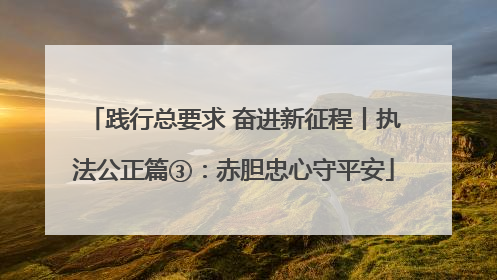 践行总要求 奋进新征程丨执法公正篇③：赤胆忠心守平安