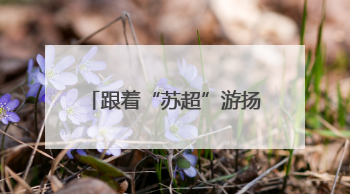 跟着“苏超”游扬州，多重福利迎客流，文旅名城接待游客量同比激增