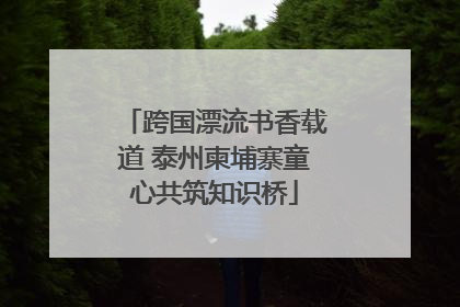 跨国漂流书香载道 泰州柬埔寨童心共筑知识桥