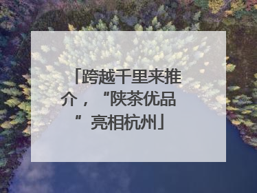 跨越千里来推介，“陕茶优品”亮相杭州