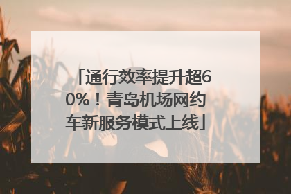 通行效率提升超60%！青岛机场网约车新服务模式上线