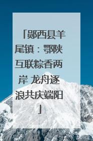 郧西县羊尾镇：鄂陕互联粽香两岸 龙舟逐浪共庆端阳