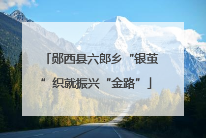 郧西县六郎乡“银茧”织就振兴“金路”