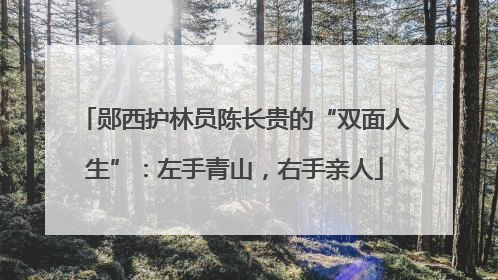 郧西护林员陈长贵的“双面人生”：左手青山，右手亲人
