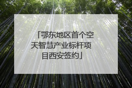 鄂东地区首个空天智慧产业标杆项目西安签约