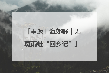 重返上海郊野｜无斑雨蛙“回乡记”