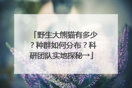 野生大熊猫有多少？种群如何分布？科研团队实地探秘→