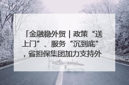 金融稳外贸｜政策“送上门”、服务“沉到底”，省担保集团加力支持外经贸高质量发展