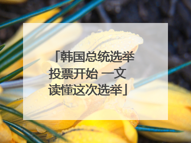韩国总统选举投票开始 一文读懂这次选举