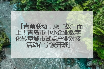 青甬联动，乘“数”而上！青岛市中小企业数字化转型城市试点产业对接活动在宁波开班