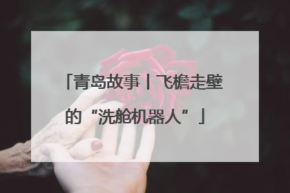 青岛故事丨飞檐走壁的“洗舱机器人”