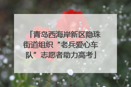 青岛西海岸新区隐珠街道组织“老兵爱心车队”志愿者助力高考