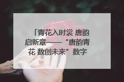 青花入时裳 唐韵启新章——“唐韵青花 数创未来”数字文创设计大赛启幕