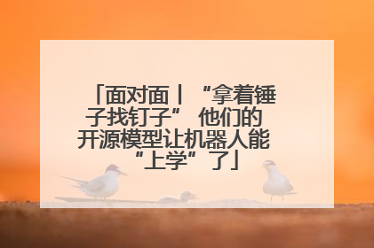 面对面丨“拿着锤子找钉子” 他们的开源模型让机器人能“上学”了