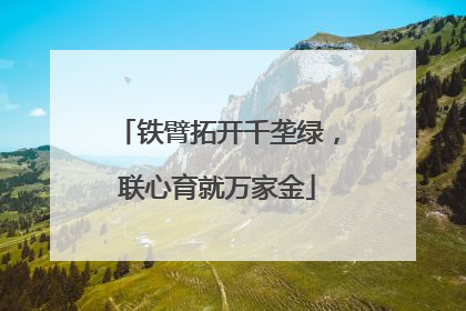 铁臂拓开千垄绿，联心育就万家金