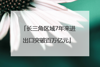 长三角区域7年来进出口突破百万亿元